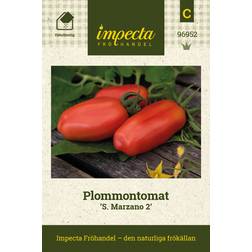 Impecta Plommontomat San Marzano 2