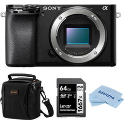 Sony Alpha A6100 Mirrorless Camera with Included Value