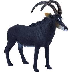 Mojo Sable Antelope Wildlife Animal