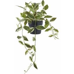 House Nordic Kunstpflanze aus Porzellanblume - Grün Künstliche Pflanzen