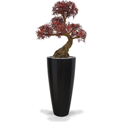 Green4Ever Imperial Silver Aralia Bonsai with UV Protection Red Konstgjord växt