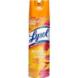 Lysol Brand New Day Disinfectant Spray 19.0 19fl oz
