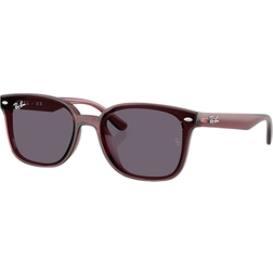 Ray-Ban RB4461D Solglasögon Transparent - Dark Brown