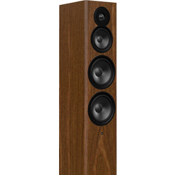 Dynaudio Focus 50 Blonde Wood