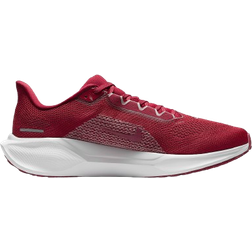 Nike Adults' Alabama Zoom Pegasus Running Shoes Dark Red/Silver, Men's Running
