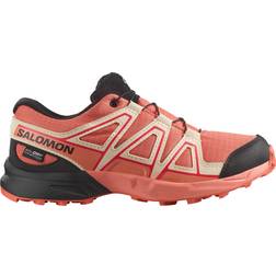 Salomon Speedcross Wp Hiking Shoes