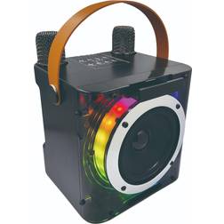 Shein Karaoke Machine with 2 Wireless Microphones