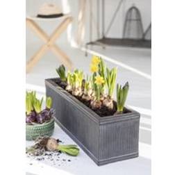 Garden Trading Bathford Trough 60cm Black