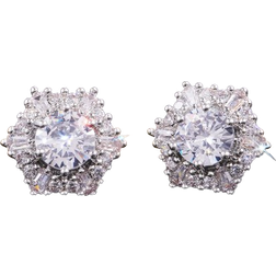 Shein Cubic Zirconia Decor Stud Earrings