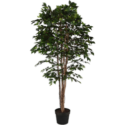 Home ESPRIT Polyetylen Fig Tree 100 x 100 x 210 cm Konstgjord växt