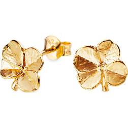 Flora Danica Jewellery Large Four-Leaf Clover Earrings - Gold