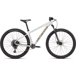 Specialized Rockhopper Expert 29 Gloss Silver Dust