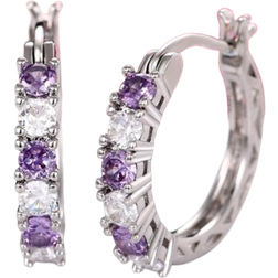 Shein 1pair Exquisite Cubic Zirconia Decor Hoop Earrings For Women For Daily Decoration
