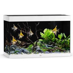 Juwel Akvarium Led RIO 290 101x51x66 cm 290L
