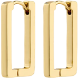 Pilgrim FEEL Øreringe kt. Guldbelagt Messing 122442003 Dame Brass