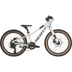 Scott Alloy Silver Scale 20"