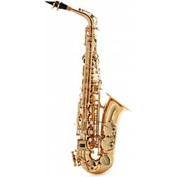 Ida Maria Grassi GR SAL700BUNDLE
