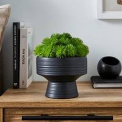 Dunelm Moss in Black Footed Pot Artificial Plant