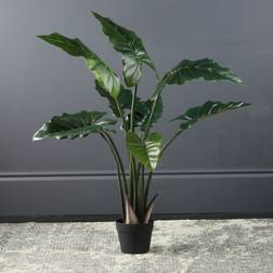 Scottish Everlastings Calla Tree in Black Pot - Green Artificial Plant