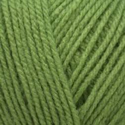 Stylecraft Special DK Leaf 2176
