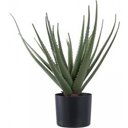 House Nordic Aloe Vera Konstträd Höjd 51cm Grön Konstgjord växt
