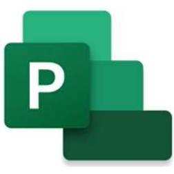 Microsoft Project Professional 2024