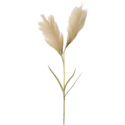 Åhléns Home Konstväxt Vass Blommor & Växter Brun ONESIZE Konstgjord växt