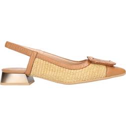 Hispanitas Ashford - Brown