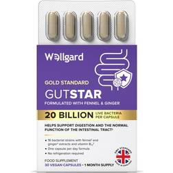 Wellgard Gutstar Probiotics 16 Strain Probiotics for Gut Health with Fennel