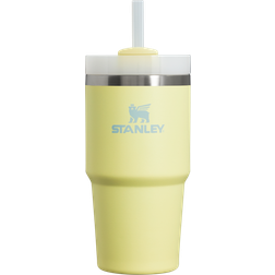 Stanley Quencher H2.O FlowState Tumbler i Rostfritt Stål med Sugrör 590 ml Termosmugg