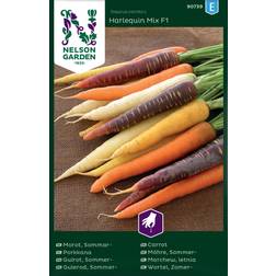 Nelson Garden Fröer Morot Sommar Harlequin Mix F1