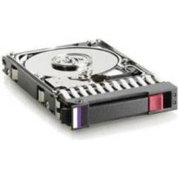 HP Hewlett Packard Enterprise 482483-002 interna hårddiskar 3.5" 500 GB Serial ATA II