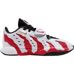 Nike Lebron XXI Prime 96 - White/Metallic Gold/Fire Red