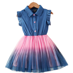 Shein Young Girl Ombre Ruffle Trim Mesh Hem Shirt Dress