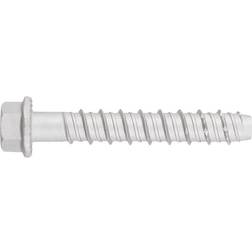 Arvid Nilsson BETONSKRUE 5X60MM C3 100STK 100stk