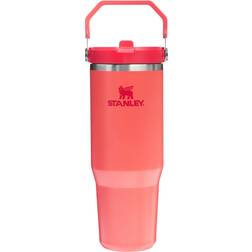 Stanley IceFlow Flip Straw Stainless Steel Leak-Proof 890ml Tumbler
