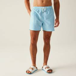 Regatta Men's Quick-Drying Loras Swim Shorts - Aquarius Blue Stripe