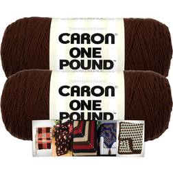 Caron One Pound Yarn 2 Pack with Pattern Cards