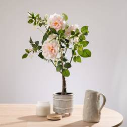 Scottish Everlastings Real Touch Rose Tree in Black Pot - Pink Artificial Plant