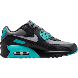 Nike Air Max 90 LTR - Grå