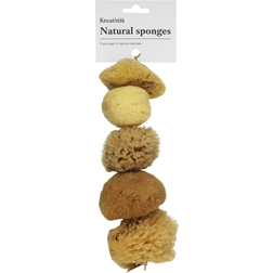 Kreatima Natural Sponge 5-pack