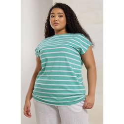 Yours Curve Striped Grown Sleeve Cotton Tshirt - Teal Blue