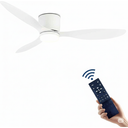 Caneoe Ceiling Fan with Lighting