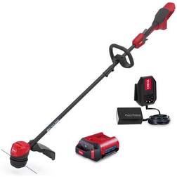 Toro 51831 (1x2.0Ah)