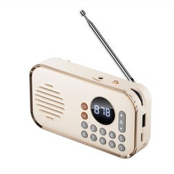 Bluetooth Radio