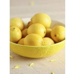 Hestia Lemon Yellow Serving Bowl