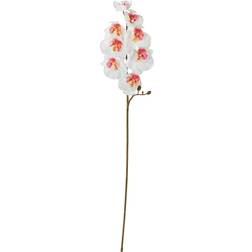 IKEA Blomma Inom Utomhus Orkidé Vit 60 cm Konstgjord växt