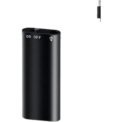 Mini voice-controlled recorder