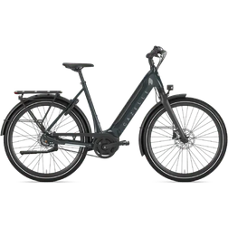 Gazelle Ultimate C8+ HMB Low-Step 2025 - Pine Green