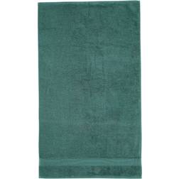Catherine Lansfield Anti Bacterial Bath Towel Green (140x90cm)